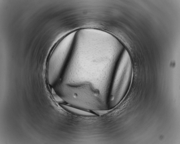 X0000098131044200805011317