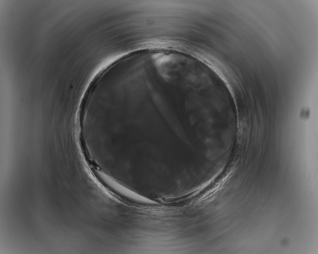 X0000098131045200805011317