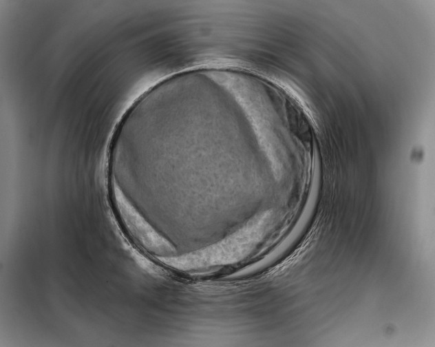 X0000098131046200805011317