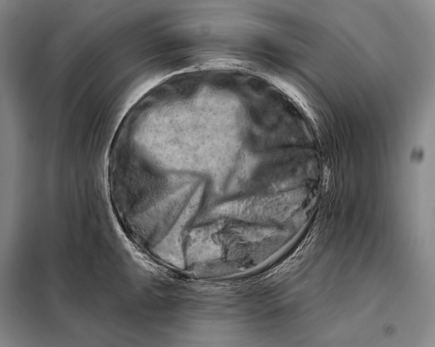 X0000098131047200805011317