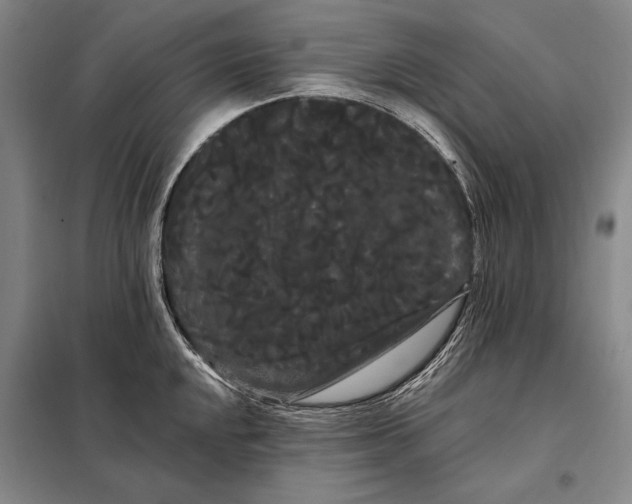X0000098131048200805011317