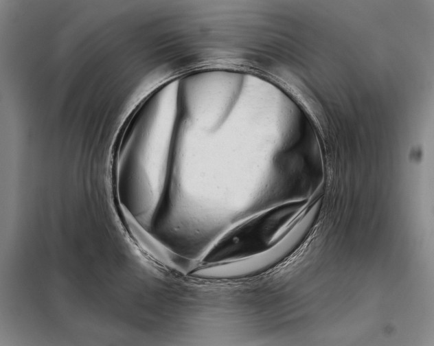 X0000098131050200805011317