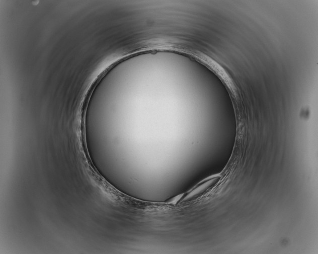 X0000098131051200805011317