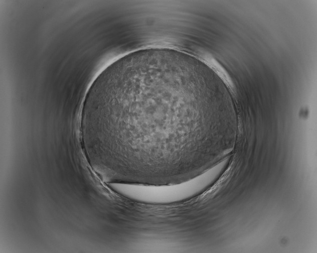 X0000098131052200805011317