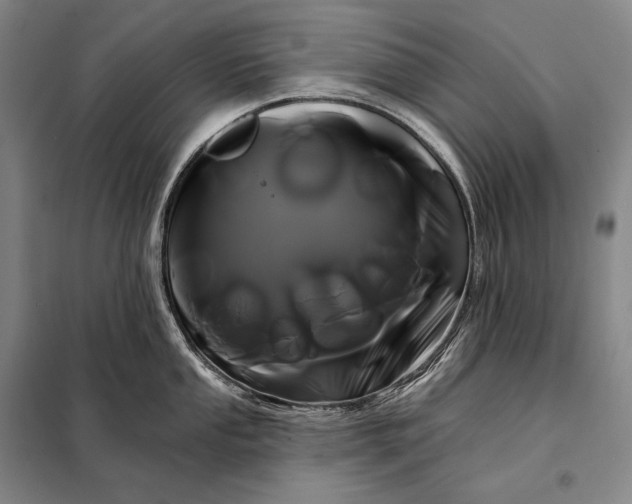 X0000098131053200805011317