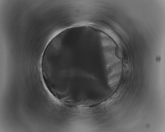 X0000098131055200805011317