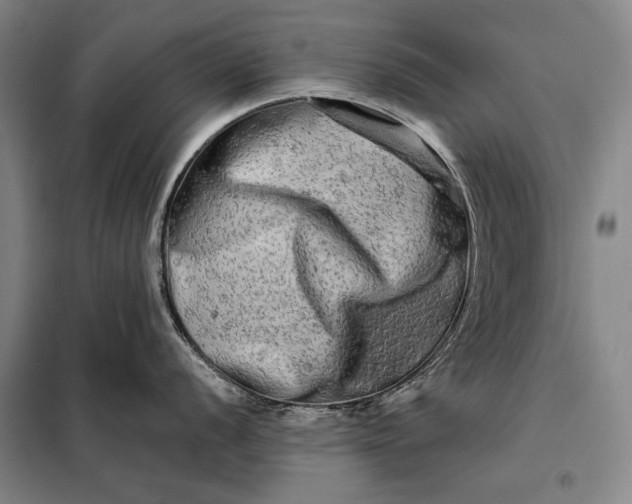 X0000098131056200805011317