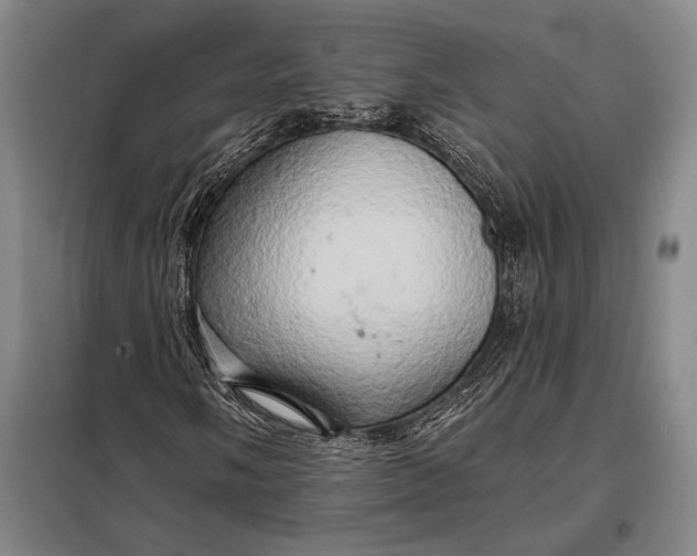 X0000098131058200805011316