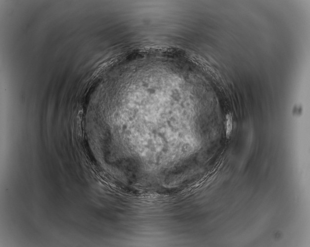 X0000098131059200805011316