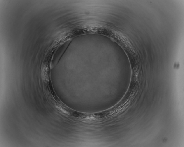 X0000098131060200805011316