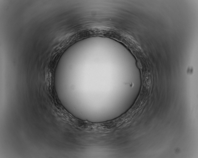X0000098131061200805011316