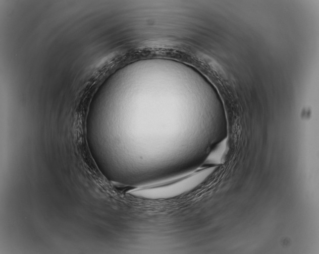 X0000098131062200805011316