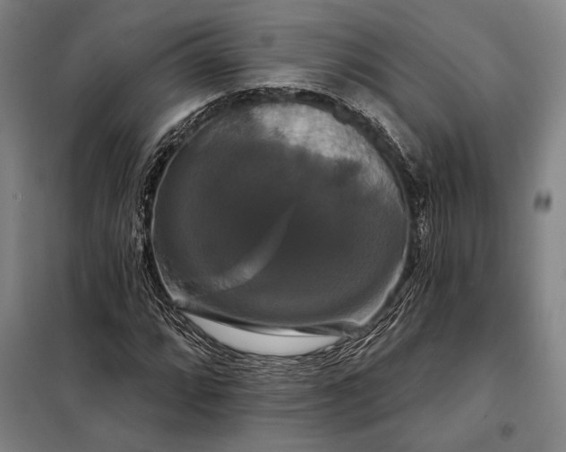 X0000098131064200805011316