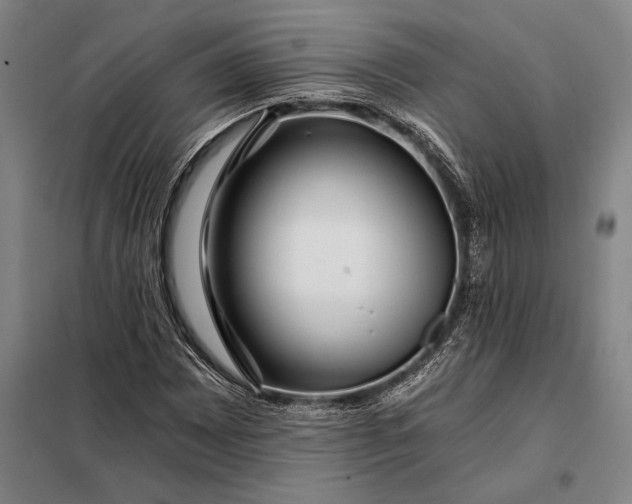X0000098131065200805011316