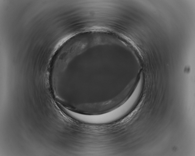 X0000098131066200805011316