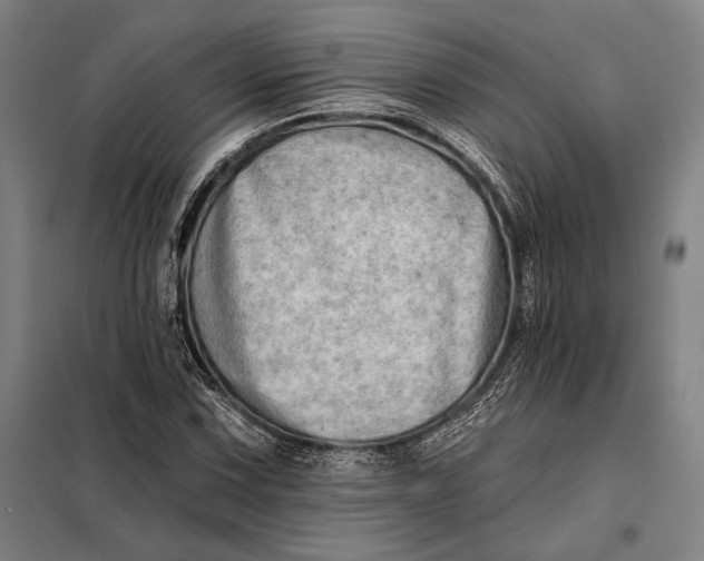 X0000098131067200805011316