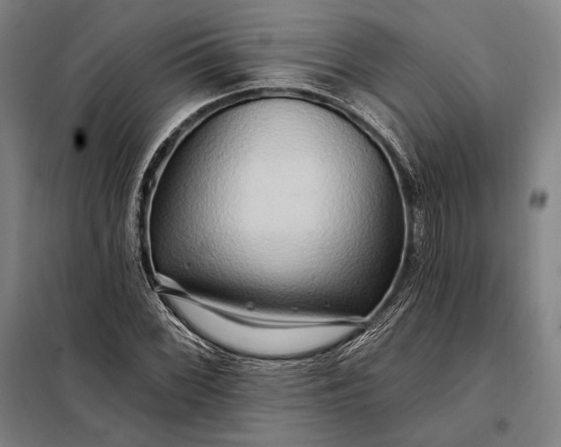 X0000098131068200805011316