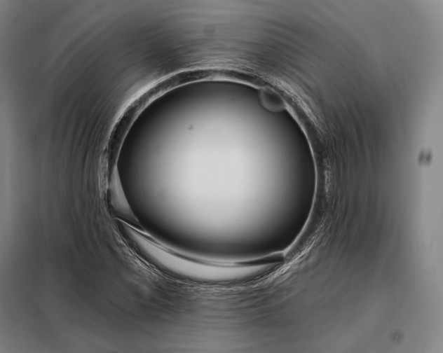 X0000098131069200805011316