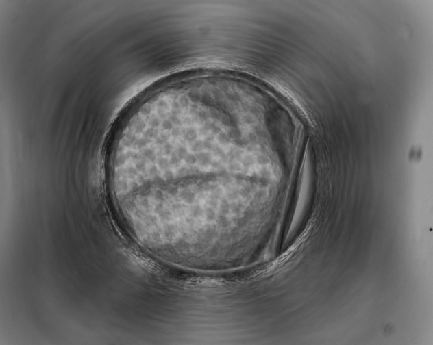 X0000098131070200805011316