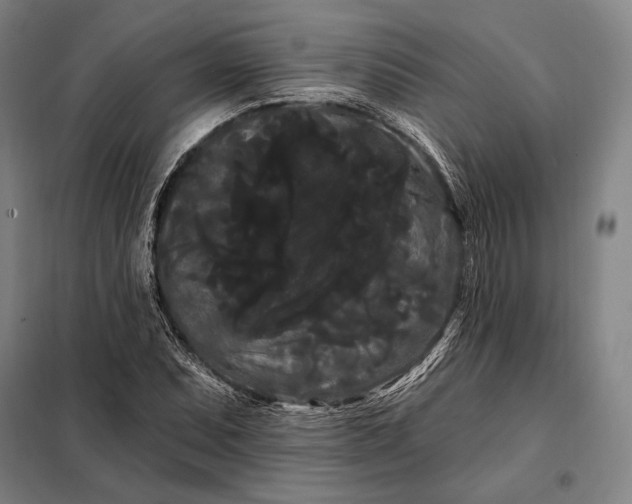 X0000098131071200805011316