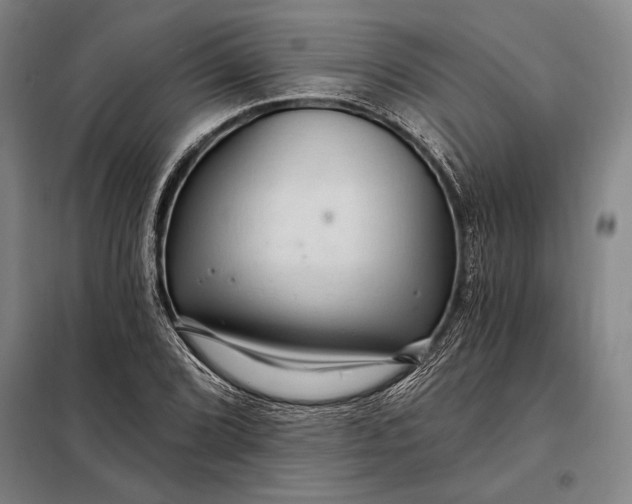 X0000098131072200805011316