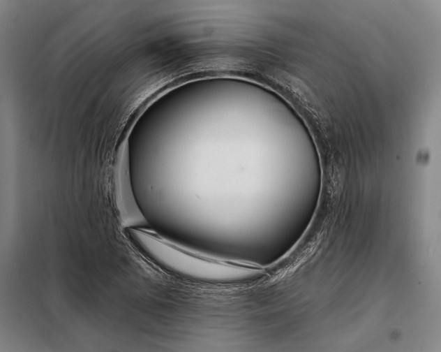 X0000098131073200805011316
