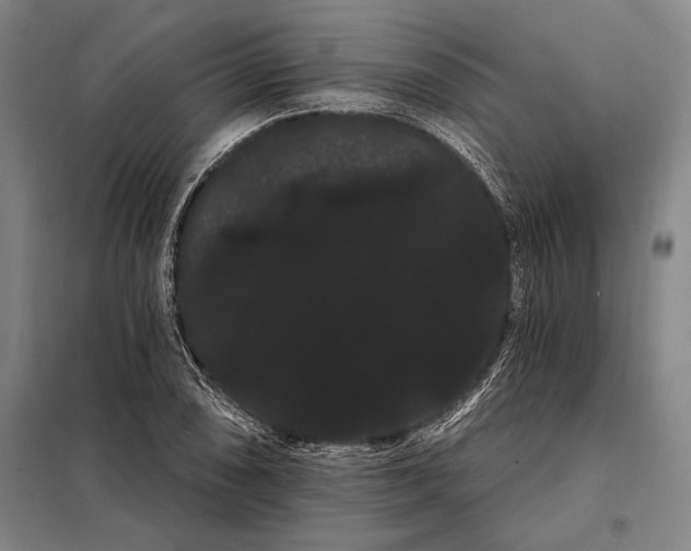 X0000098131074200805011316