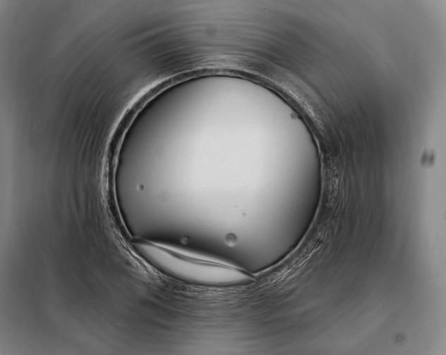 X0000098131076200805011316
