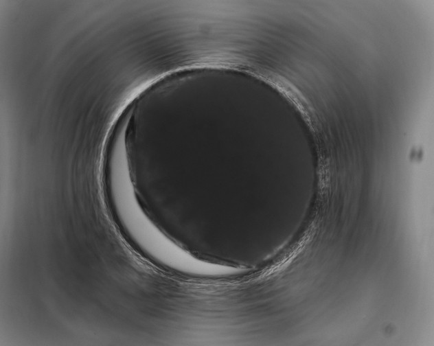 X0000098131077200805011316