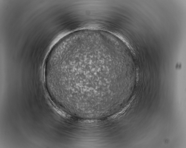 X0000098131078200805011316