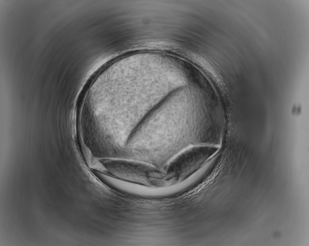 X0000098131079200805011316