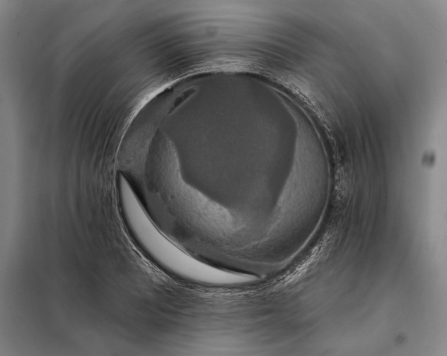 X0000098131081200805011316