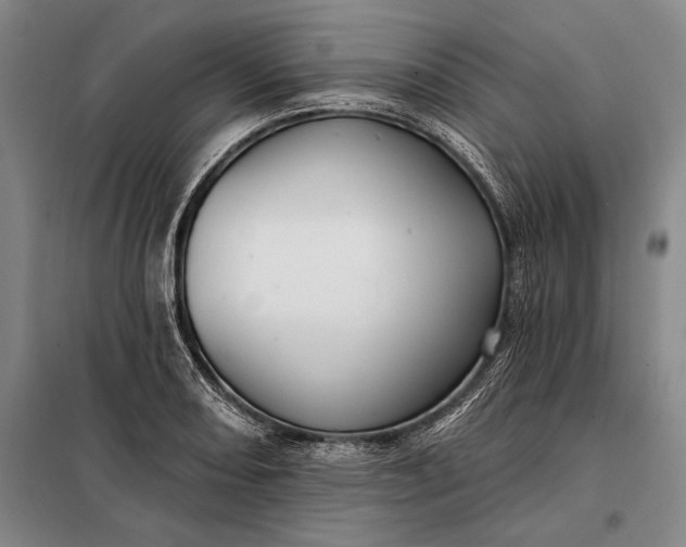 X0000098131082200805011316