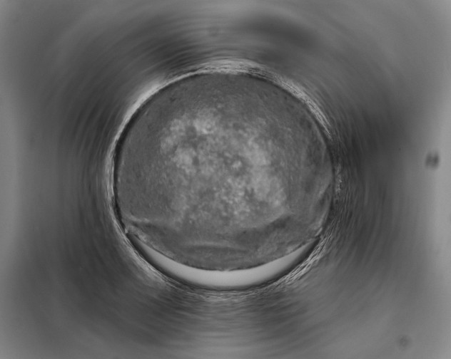 X0000098131083200805011316
