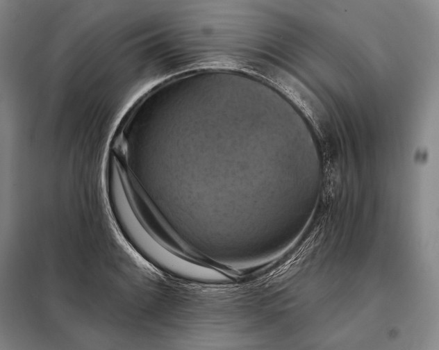 X0000098131084200805011316