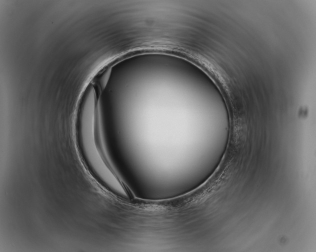 X0000098131085200805011316