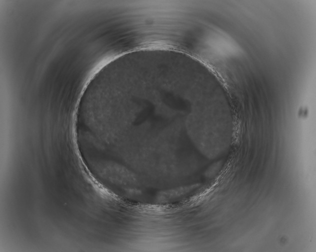 X0000098131086200805011316