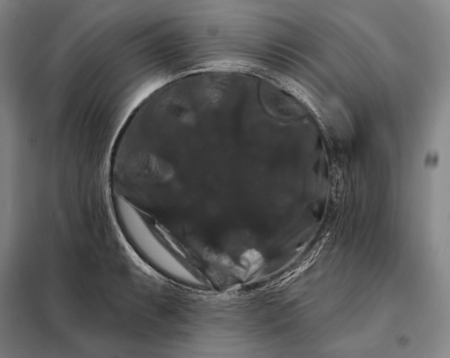 X0000098131087200805011316
