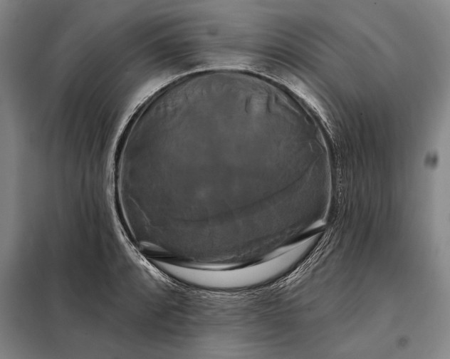 X0000098131088200805011316