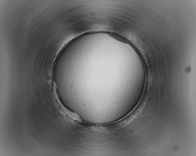 X0000098131089200805011316