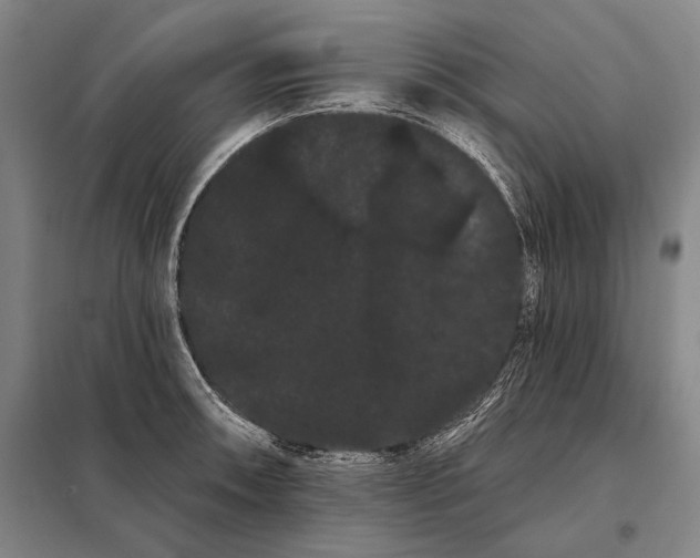 X0000098131090200805011316