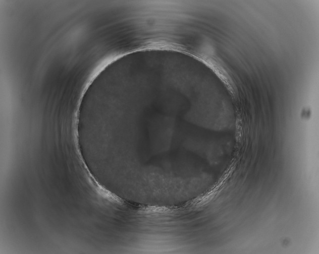 X0000098131094200805011316