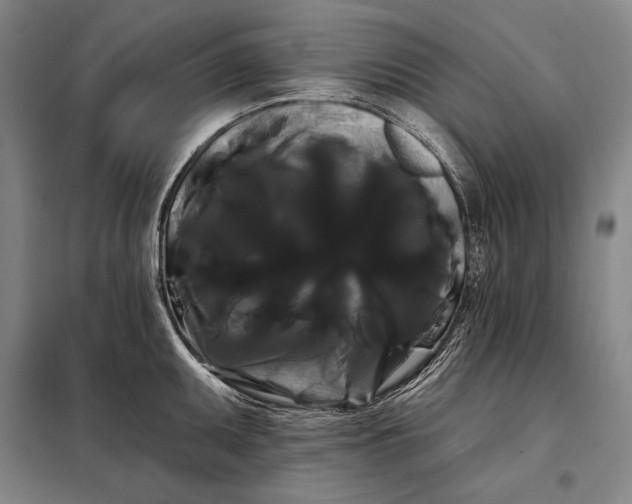 X0000098131095200805011316