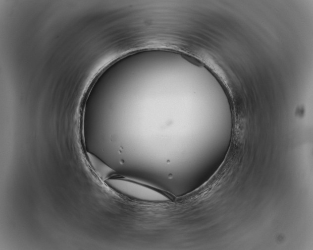 X0000098131096200805011316
