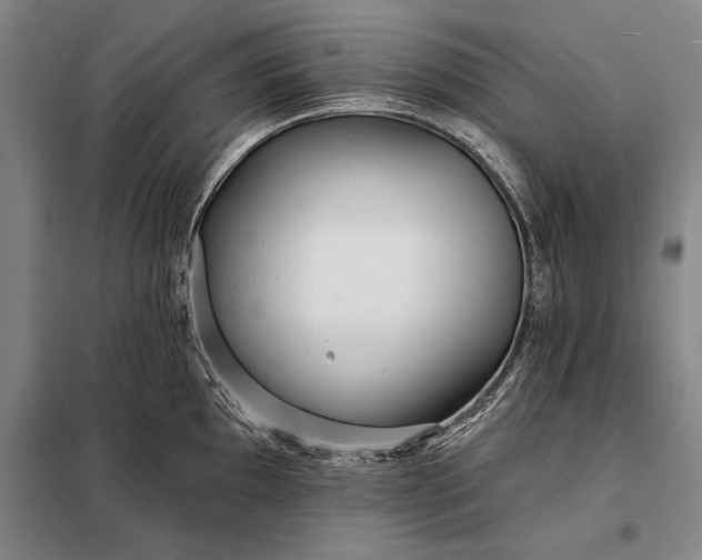 X0000098131097200805011316