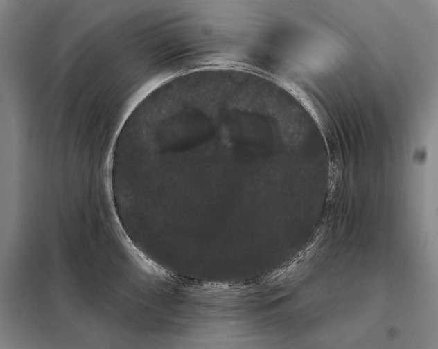 X0000098131098200805011316