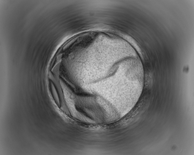 X0000098131099200805011316