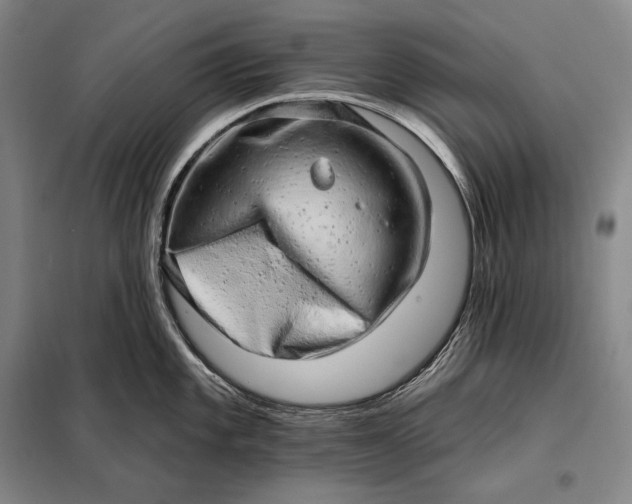 X0000098131101200805011316