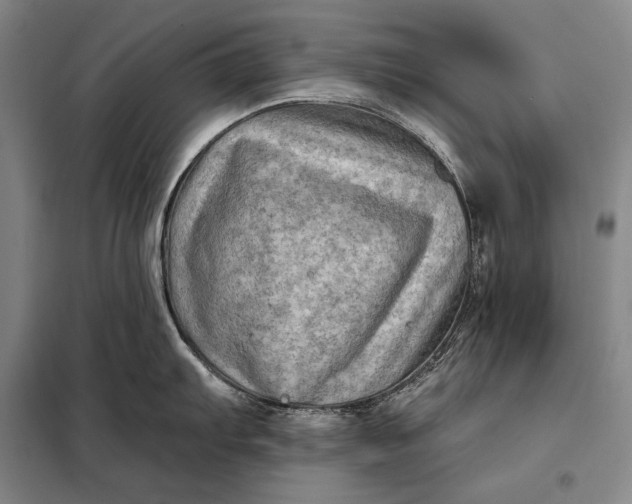 X0000098131103200805011316