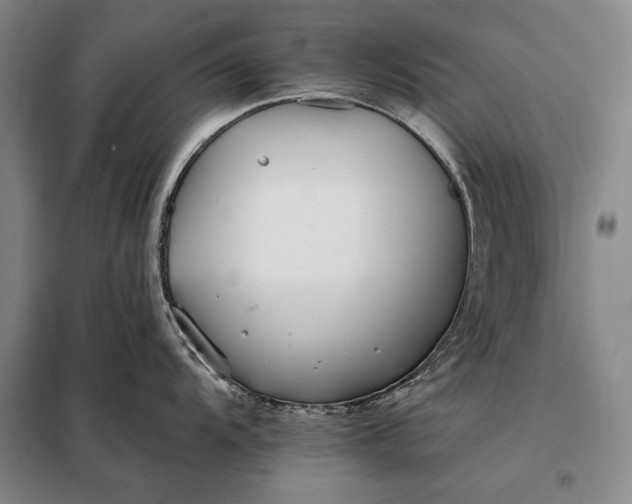 X0000098131104200805011316